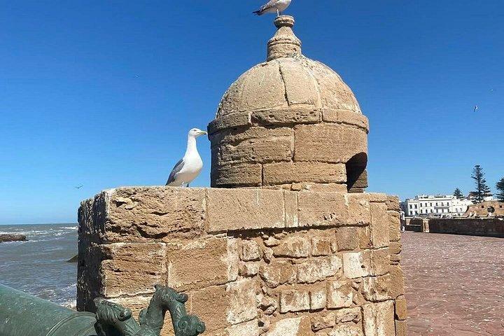 Udforsk Essaouira på en dagstur fra Marrakech