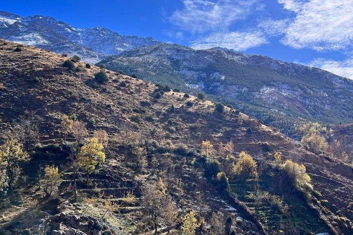 Gita di un giorno alle montagne dell'Atlante da Marrakech