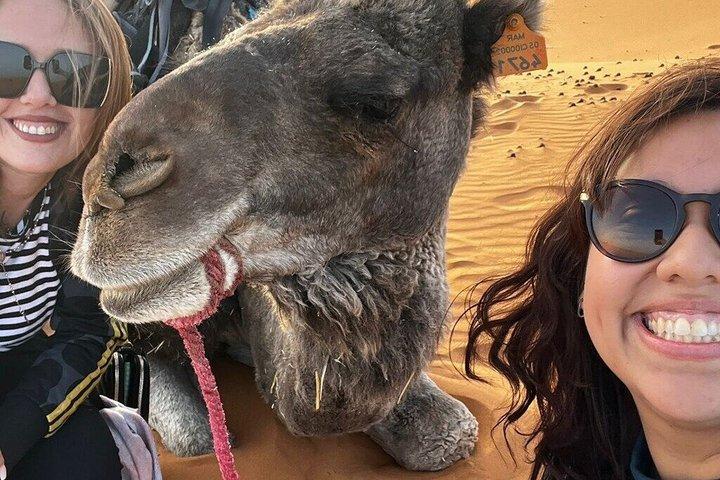 フェスからメルズーガまでの往復2日間（砂漠泊付き）