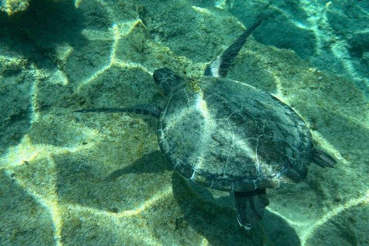 Excursion en bateau privé Lindos – Aventure côtière de 3 heures