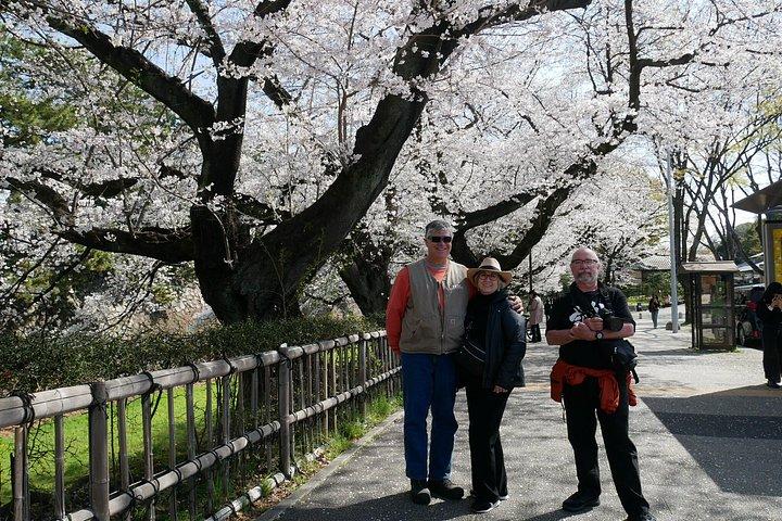 Dagstur Nagoya fra Tokyo med kuletog
