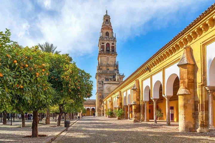 Tour privato di Siviglia a Cordova con Bull Ranch Experience