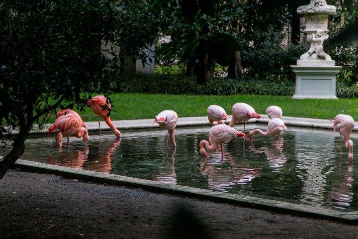 The Secret Milan – Um passeio exclusivo para além do caminho batido
