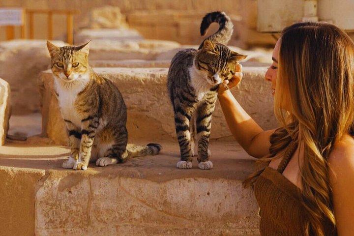 Luxor East Bank Private Experience with Authentic Cooking Class