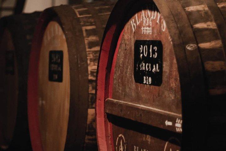 Madeira Guided Wine Tour & Extras