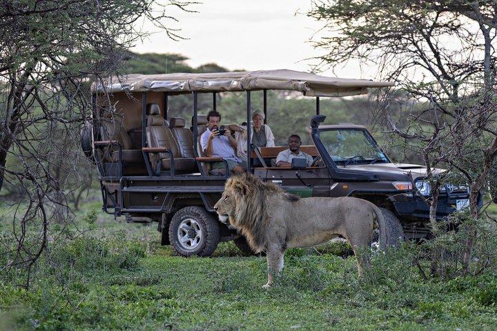 Tanzania luksussafari for bryllupsrejse i Serengeti Park