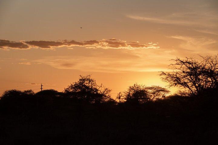 4 dagars Tanzania Wildlife Safaris i Ngorongoro-kratern