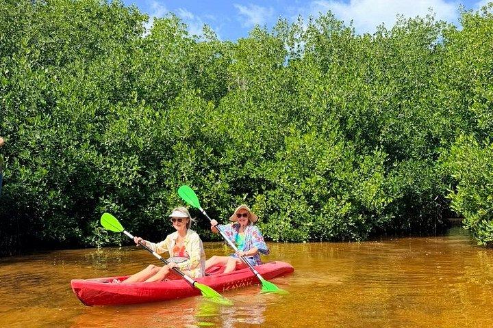 Sisal Mangrove and Beach Kayak Tour From Merida