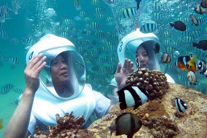 パタヤ：スピードボートでのコーラルアイランドツアー（インディアンランチ付き）