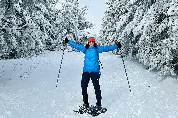 Sofia to Vitosha National Park Snowshoe Hike with Lunch