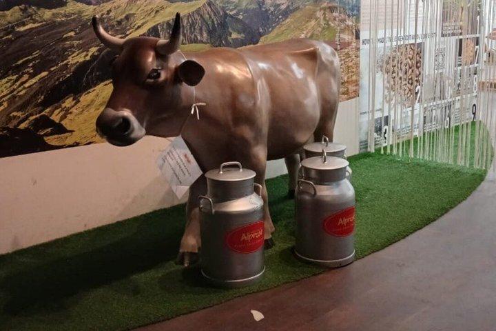 Como : Dagtrip naar Lugano en de Zwitserse chocoladefabriek