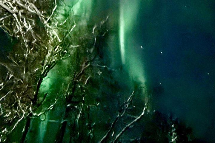 UNTAMED - アングレーッジ（アラスカ）でのオーロラ観光 - 4時間