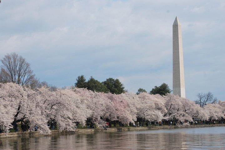 Skip-the-Line Washington Monument Tickets + Self Guided Book