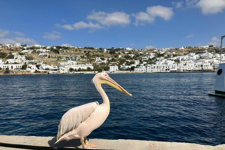 Design din perfekte ødag – privat tur til Mykonos