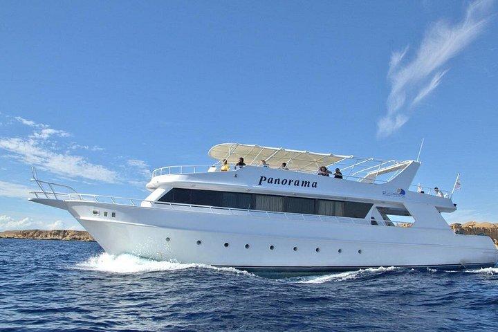 Ras Mohamed Snorkeling and White Island Experience