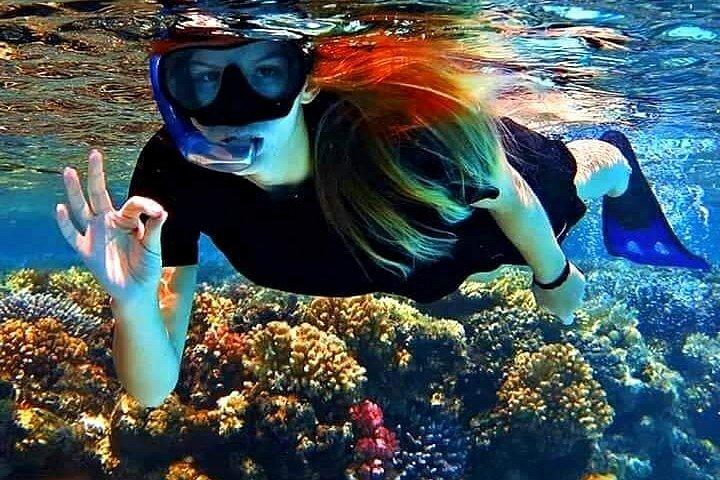 Ras Mohamed Snorkeling and White Island Experience