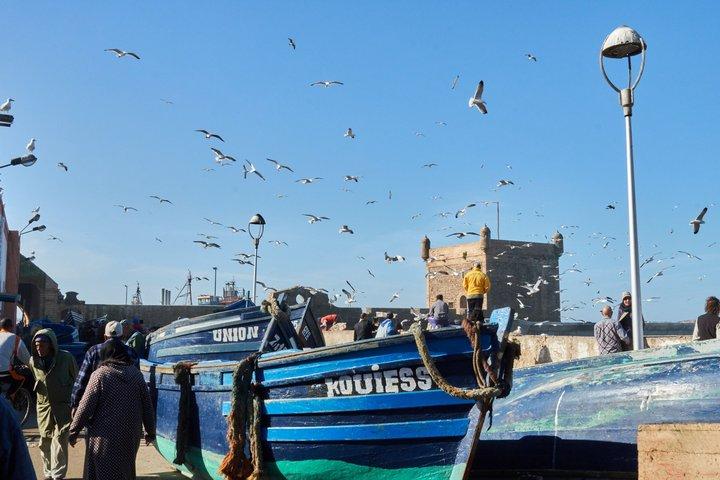 Discover Essaouira on a Day Trip from Marrakech