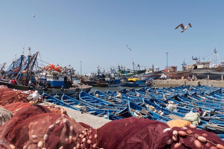 Discover Essaouira on a Day Trip from Marrakech