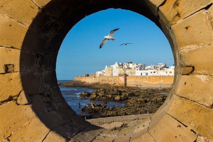 Discover Essaouira on a Day Trip from Marrakech
