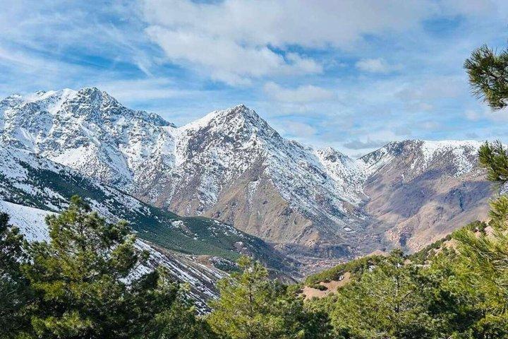 Marrakech: Atlas Mountains Day Hike, Talamrout Summit 2700M