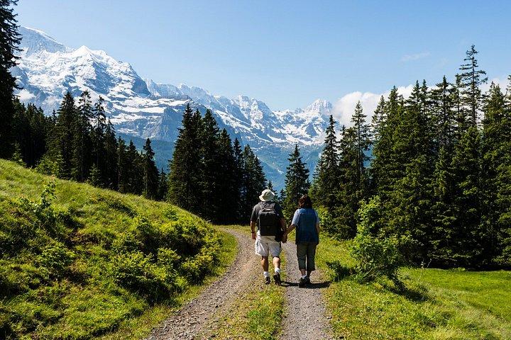 Private Walking Tour in Wengen with alpine views