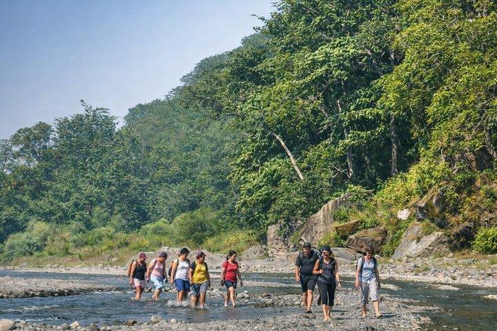 Rishikesh : Randonnée dans le parc national Rajaji avec le temple Vindhyawasini