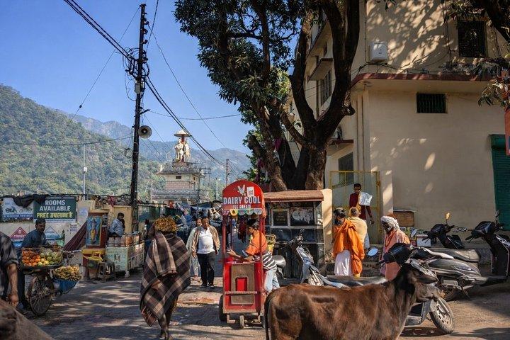 Rishikesh: Beatles Ashram konst- och meditationsvandring