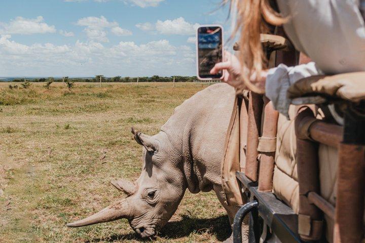 5 Tage Klassik Kenia Naivasha Nakuru und Maasai Mara