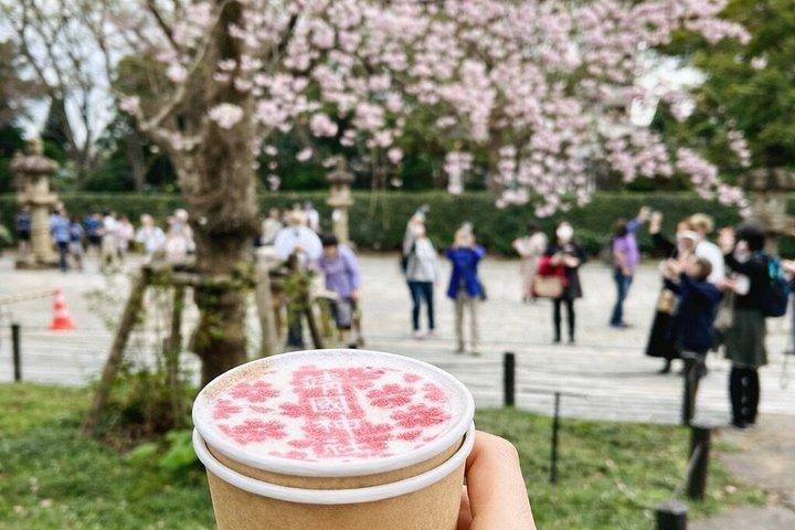 柴犬と神社散策で行く東京プライベート桜ツアー
