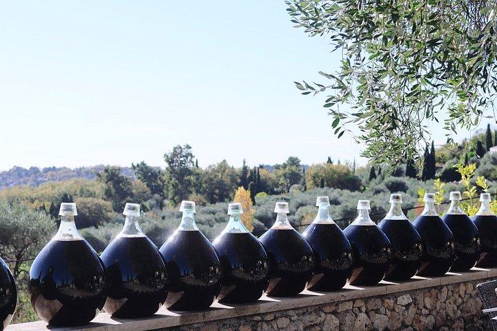 Nice, Saint-Paul-de-Vence and Wine Tasting full day from Nice