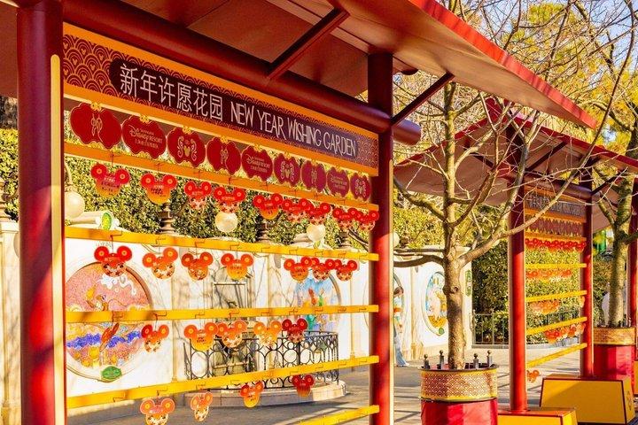 Shanghai Disneyland Experience Pass com opções