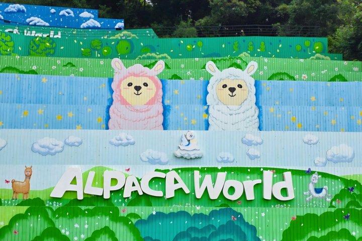 Alpaca World Nami Island Garden of Morning Calm de Seul