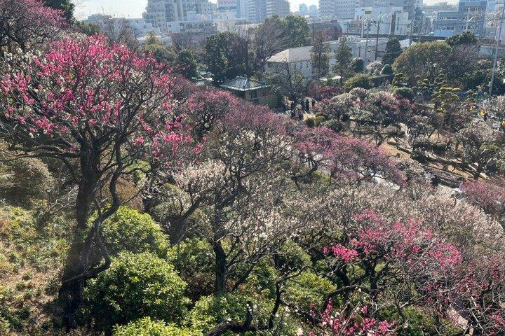 東京・池上本門寺散策ツアー