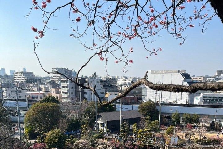 東京・池上本門寺散策ツアー
