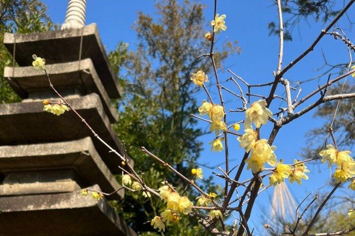 東京・池上本門寺散策ツアー
