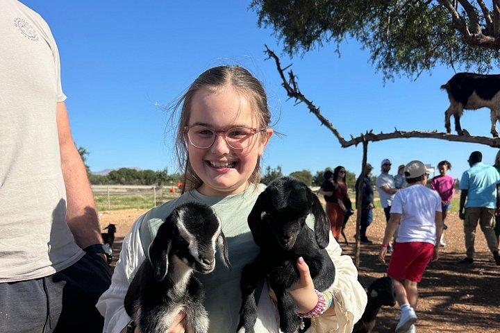 From Agadir visite Crocoparc & the famous three-climbing goats