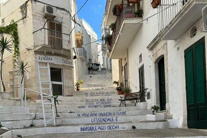 Tour: Alberobello, Ostuni, Locorotondo: Local Guide & Lunch