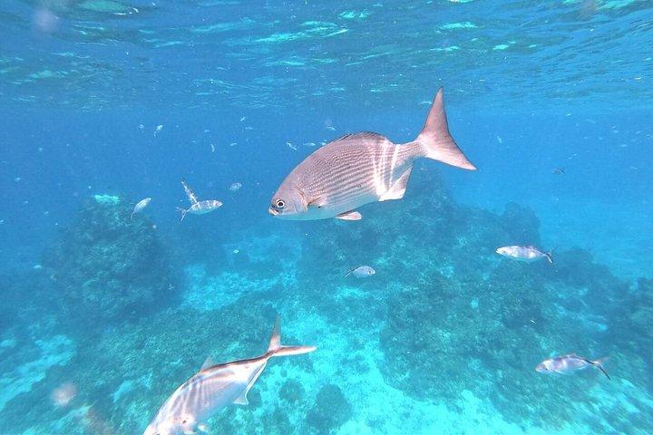 Private Sky Snorkeling Tour