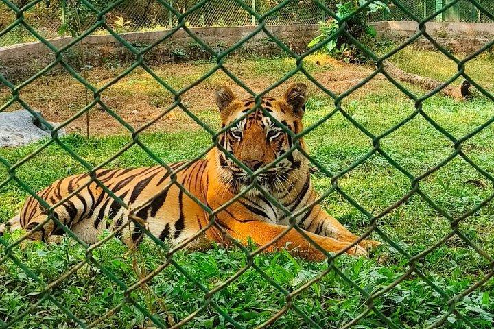 サンジャイ・ガンディー国立公園+カンヘリ洞窟+タイガーサファリ+ジャイナ・テンプル