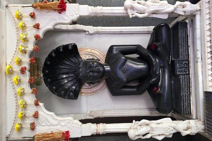 ムンバイSGNP：カンヘリ洞窟、タイガーサファリ＆ジャイナ寺院