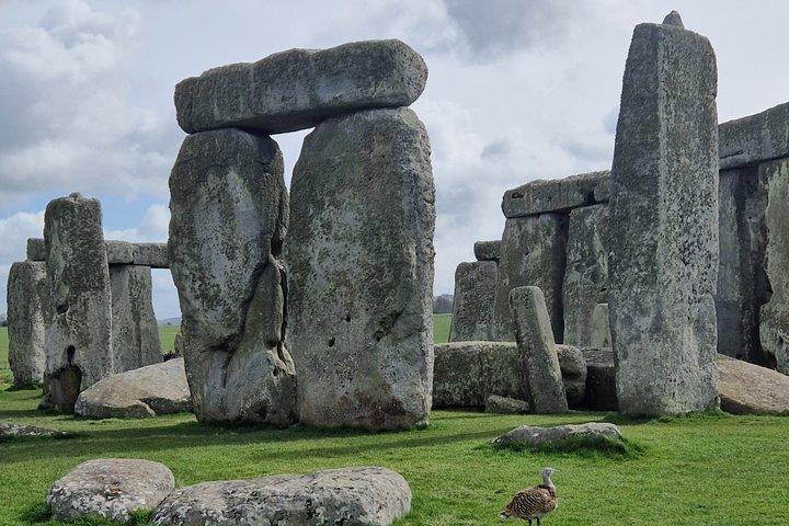 Tour privado a Stonehenge desde Londres
