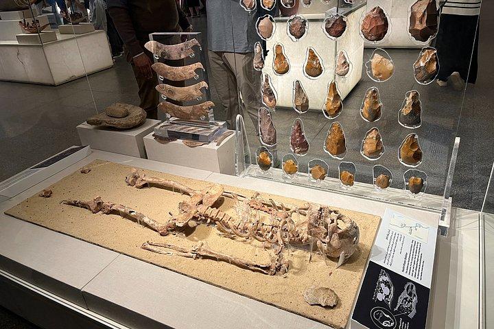 ロイヤル・ミイラ博物館、シタデルとカーン・エル・ハリーリ・ツアー。