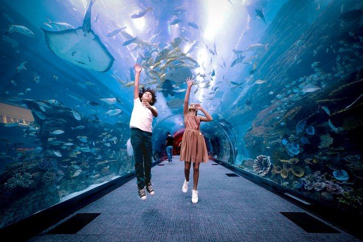 市内観光ドバイホップオンホップオフバスツアー、水族館＆その他