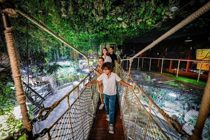 市内観光ドバイホップオンホップオフバスツアー、水族館＆その他