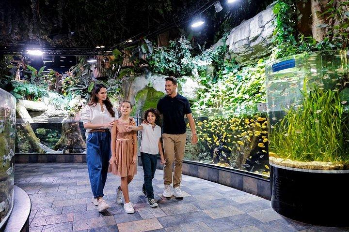 市内観光ドバイホップオンホップオフバスツアー、水族館＆その他