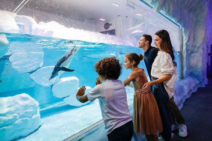 市内観光ドバイホップオンホップオフバスツアー、水族館＆その他