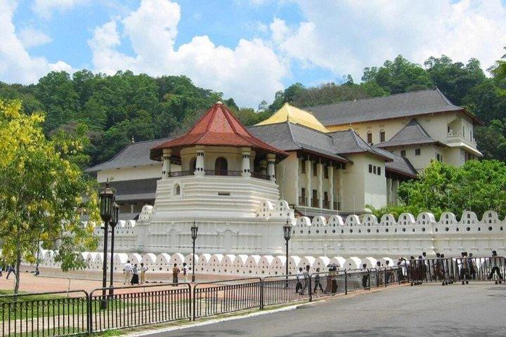Circuit de Kandy à Ambewela avec Local Insights