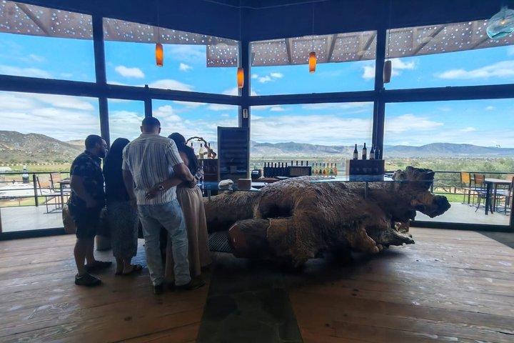Private Tour in the Guadalupe Valley