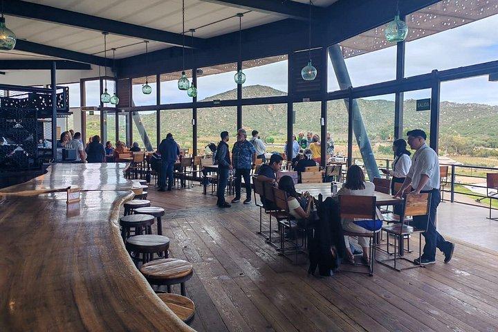Private Tour in the Guadalupe Valley