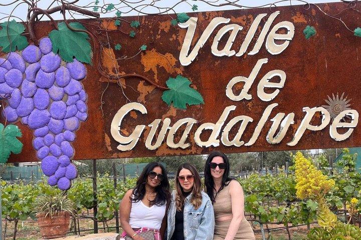 Private Tour in the Guadalupe Valley